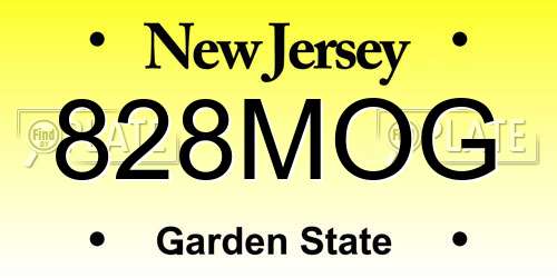828MOG New Jersey License Plate