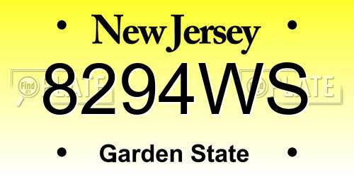 8294WS New Jersey License Plate