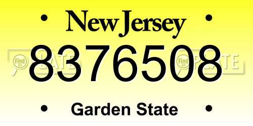 8376508 New Jersey License Plate