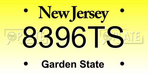 8396TS New Jersey License Plate