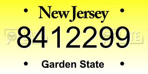 8412299 New Jersey License Plate