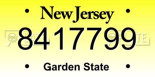 8417799 New Jersey License Plate