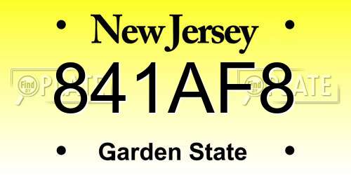 841AF8 New Jersey License Plate