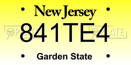841TE4 New Jersey License Plate