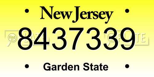 8437339 New Jersey License Plate