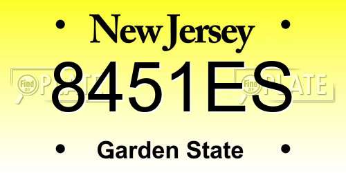 8451ES New Jersey License Plate