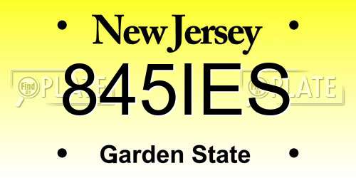 845IES New Jersey License Plate