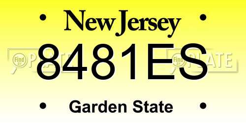 8481ES New Jersey License Plate