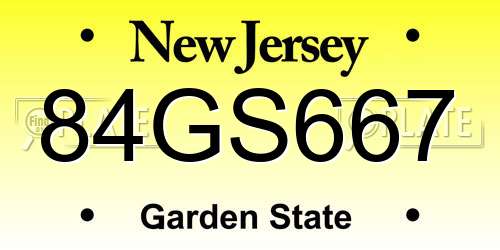 84GS667 New Jersey License Plate