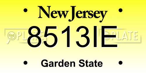 8513IE New Jersey License Plate