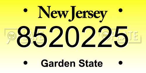 8520225 New Jersey License Plate