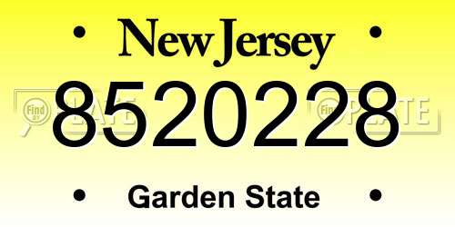 8520228 New Jersey License Plate