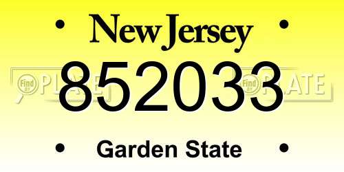 852033 New Jersey License Plate