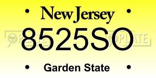 8525SO New Jersey License Plate