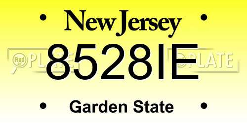 8528IE New Jersey License Plate