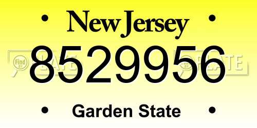 8529956 New Jersey License Plate