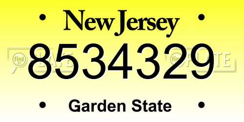 8534329 New Jersey License Plate