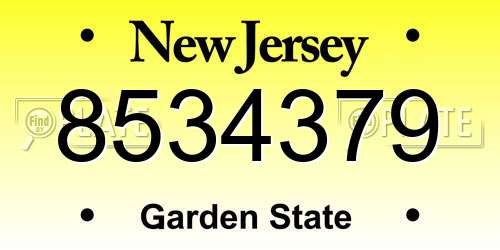 8534379 New Jersey License Plate