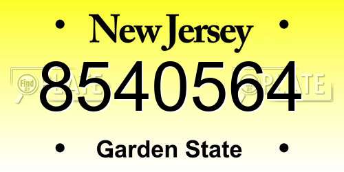 8540564 New Jersey License Plate