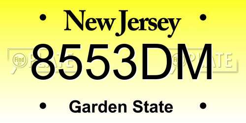 8553DM New Jersey License Plate