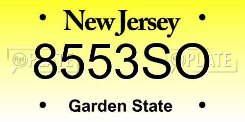 8553SO New Jersey License Plate