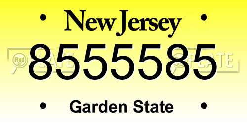 8555585 New Jersey License Plate