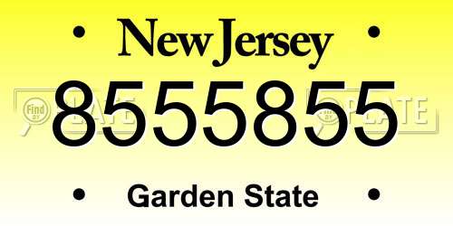 8555855 New Jersey License Plate