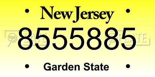 8555885 New Jersey License Plate