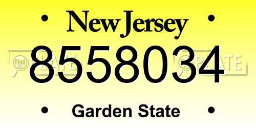 8558034 New Jersey License Plate