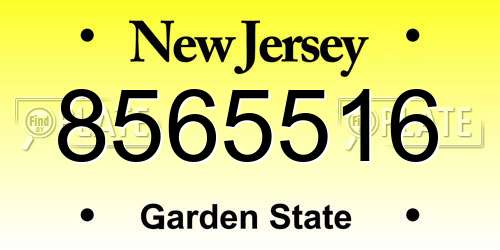 8565516 New Jersey License Plate