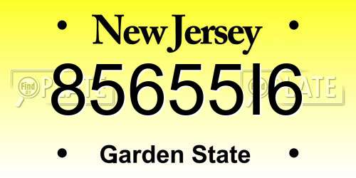 85655I6 New Jersey License Plate