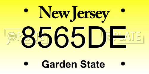 8565DE New Jersey License Plate