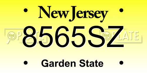 8565SZ New Jersey License Plate