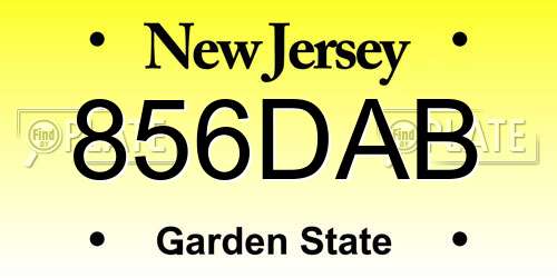 856DAB New Jersey License Plate