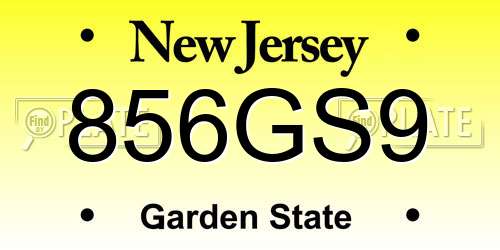 856GS9 New Jersey License Plate