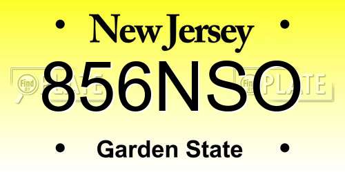 856NSO New Jersey License Plate