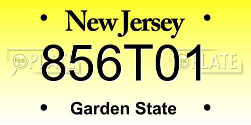 856T01 New Jersey License Plate