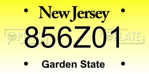856Z01 New Jersey License Plate