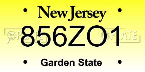 856ZO1 New Jersey License Plate