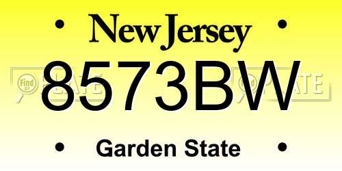 8573BW New Jersey License Plate