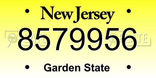 8579956 New Jersey License Plate