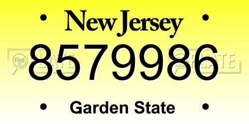 8579986 New Jersey License Plate