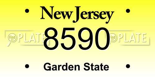 8590 New Jersey License Plate