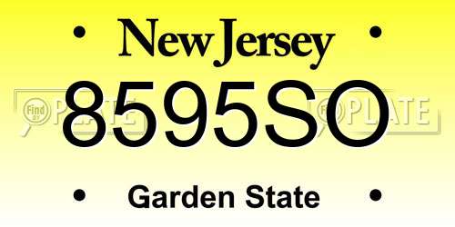 8595SO New Jersey License Plate