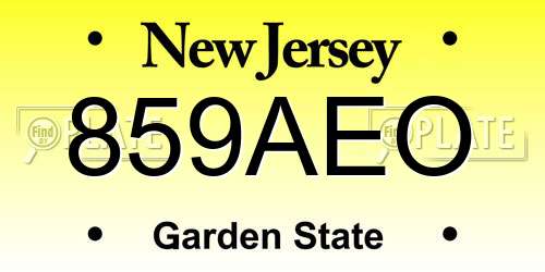 859AEO New Jersey License Plate