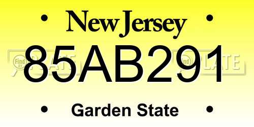85AB291 New Jersey License Plate