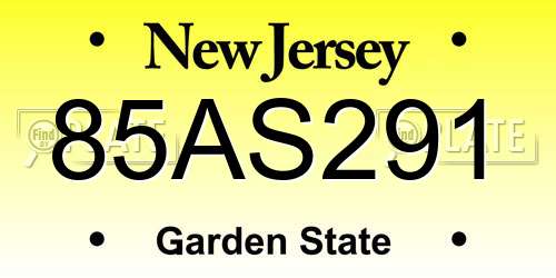 85AS291 New Jersey License Plate