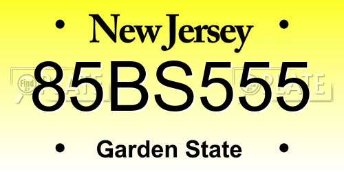 85BS555 New Jersey License Plate