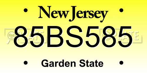 85BS585 New Jersey License Plate