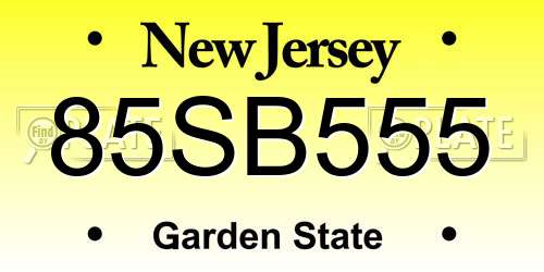 85SB555 New Jersey License Plate